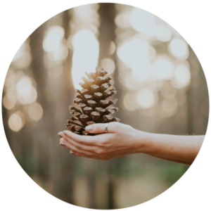 woman holding a pinecone in her hand